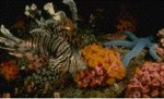 welcome.gif