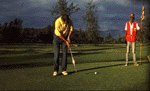 welcome.gif